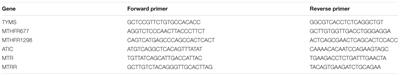 Genetic Polymorphisms of TYMS, MTHFR, ATIC, MTR, and MTRR Are Related to the Outcome of Methotrexate Therapy for Rheumatoid Arthritis in a Chinese Population